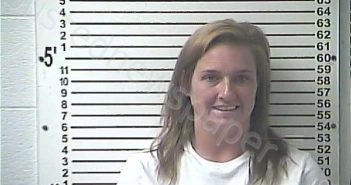 BROWN, PRISCILLA ANNETTE | 2023-08-04 19:00:00 Hardin County, Kentucky Booking