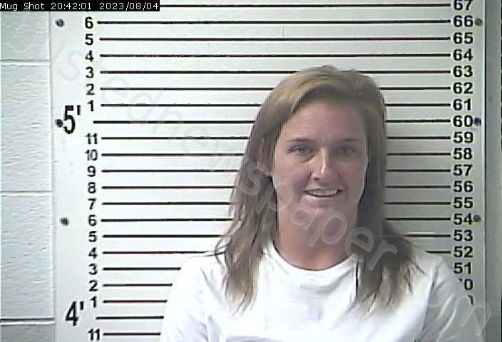 BROWN, PRISCILLA ANNETTE #, Hardin County, Kentucky - 2023-08-04 19:00:00