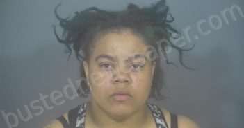 WIGGINS, <B>ASHLEY</B> LORRAINE #, St <b>Joseph</b> County, Indiana, St. Joseph County, Indiana - 2023-08-05 03:46:00