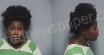FLEMING, ARMANI MONET | 2023-08-06 Roanoke County, Virginia Booking