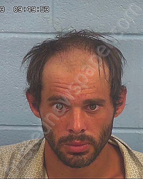 WATSON, DANIEL JACOB #, Etowah County, Alabama - 2023-08-06 09:43:00