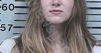 DICKENS, JAMIE LYNN | 2023-08-06 01:35:49 Hood County, Texas Booking