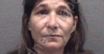 ZIMMER, MELISSA ANN | 2023-08-07 Muskegon County, Michigan Booking