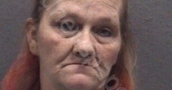 CHINGMAN, TRACY LYNN | 2023-08-09 Muskegon County, Michigan Booking