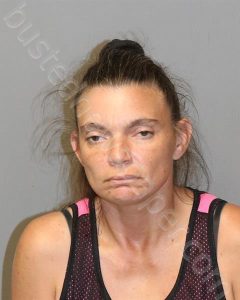 HALL, DEANA GAIL | 2023-08-10 New River Valley Regional Jail, Virginia Booking