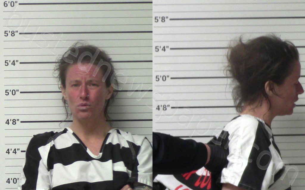 DEAN, SARAH JANE #, Kerr County, Texas - 2023-08-10