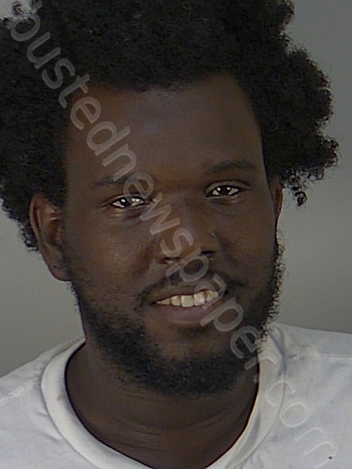 DARRELL LJ COLEMAN #, Lake County, Florida - 2023-08-11 14:58:00