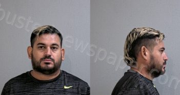 <B>GARZA</B>, LUIS <B>VICENTE</B> #, Hidalgo County, Texas - 2023-08-11