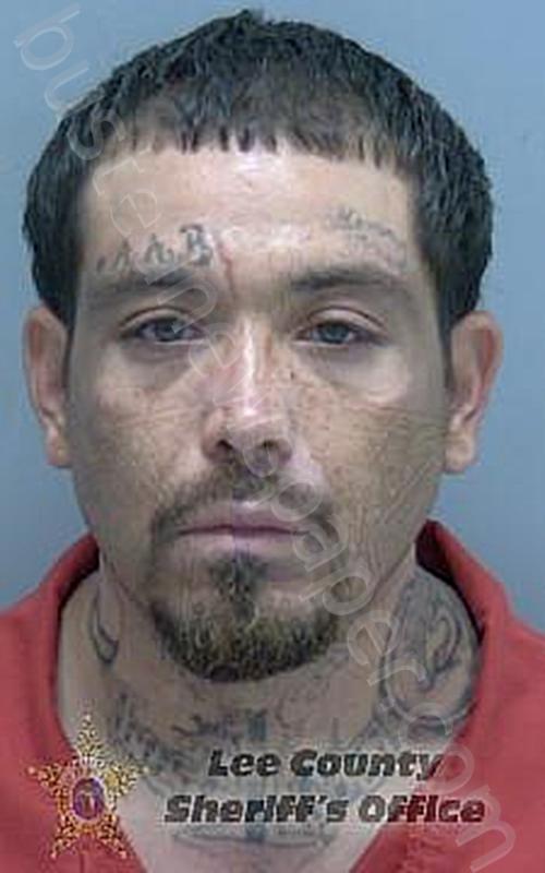LOPEZ, FRANCISCO NICOLAS #, Lee County, Florida - 2023-08-11 01:02:57