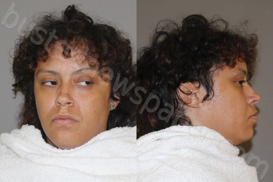 TURNER, BRITTANY ANN #, Denton County, Texas - 2023-08-12