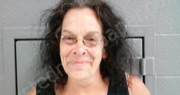 WORKMAN, LISA ANNE | 2023-08-12 00:45:00 Pocahontas County, West Virginia Booking