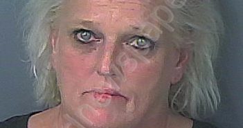 RIDLEY, RHONDA RENEE | 2023-08-13 18:46:00 Hernando County, Florida Booking