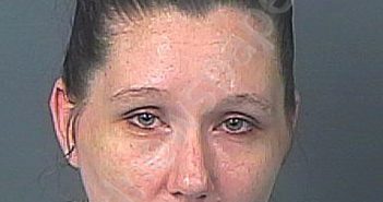 ROCK, AMBER LYNN | 2023-08-13 01:45:00 Hernando County, Florida Booking