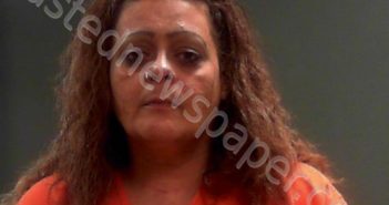 DOYLE, HEATHER NICOLE | 2023-08-13 01:50:00 Brooke County, West Virginia Booking