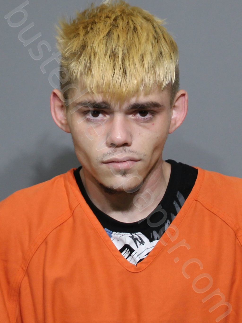 POWELL, ANTHONY TYLER #, York County, South Carolina - 2023-08-14 06:35:43
