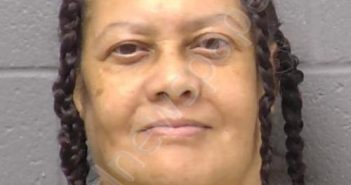 STONE, DEBORAH M | 2023-08-14 13:52:00 Will County, Illinois Booking