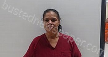 BELTRAN MARYSOL | 2023-08-15 Cameron County, Texas Booking