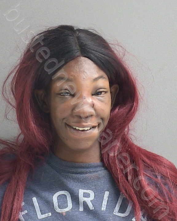 POOLE, LASHARA L #, Volusia County, Florida - 2023-08-16 14:55:00