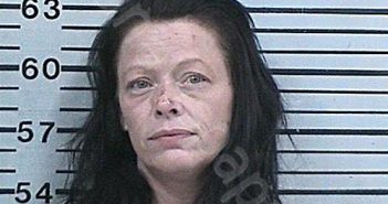 GASKAMP, BRANDI SHANNON | 2023-08-17 20:14:43 Hood County, Texas Booking