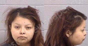 <B>BEYALE</B>, <B>NICOLE</B> <B>KRYSTAL</B> #, San Juan County, New Mexico - 2023-08-17 07:01:00