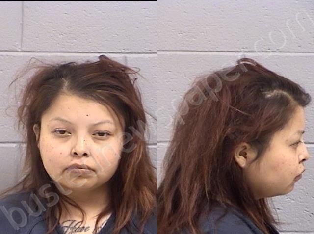 BEYALE, NICOLE KRYSTAL #, San Juan County, New Mexico - 2023-08-17 07:01:00