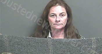 TAYLOR, MICHELE | 2023-08-18 02:28:00 Knox County, Indiana Booking