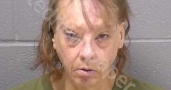 MCGILL, DEEDEE | 2023-08-18 19:21:00 Will County, Illinois Booking