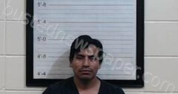 <B>LUIS</B> <B>GOMEZ</B>–<B>HERNANDEZ</B> #, Coffee County, Alabama - 2023-08-18 19:15:00