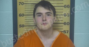 WELTER, ZANE TRISTEN | 2023-08-19 00:06:00 Ottawa County, Ohio Booking