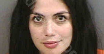 SARMIENTORUBIO,NATALIA | 2023-08-19 Collier County, Florida Booking