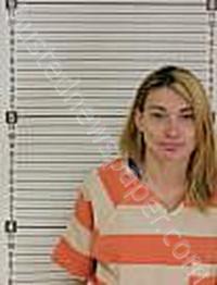 WARD, BREEANNA NICOLE #, Williams County, North Dakota - 2023-08-19