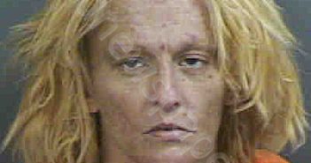 <B>VAUPEL</B>,<B>ALISON</B> <B>JEANNETTE</B> #, Collier County, Florida - 2023-08-19