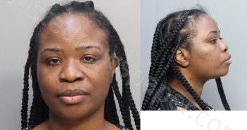 MCNEALY, TARA DENISE | 2023-08-19 20:06:00 Miami-Dade County, Florida Booking