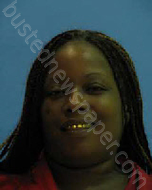 BLANDING, MICHELLE DENISE #, Desoto County, Florida - 2023-08-19 22:11:00