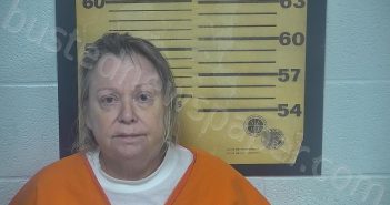 WILLIAMS, STEPHANIE L | 2023-08-19 14:55:00 Ottawa County, Ohio Booking