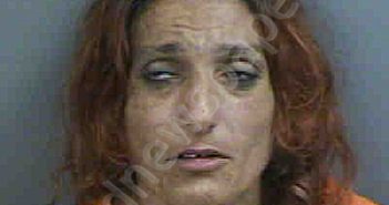 LEWIS,STEPHANIE COLETTE | 2023-08-19 Collier County, Florida Booking