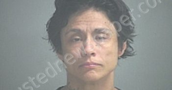 DIAZ, MELISSA DEBRA | 2023-08-21 Sandusky County, Ohio Booking