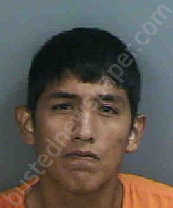 YARINGANOANCO,JOSE JOHANN | 2023-08-22 Collier County, Florida Booking