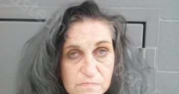 HOKE, CHARLOTTE LYNN | 2023-08-23 10:00:00 Taylor County, West Virginia Booking