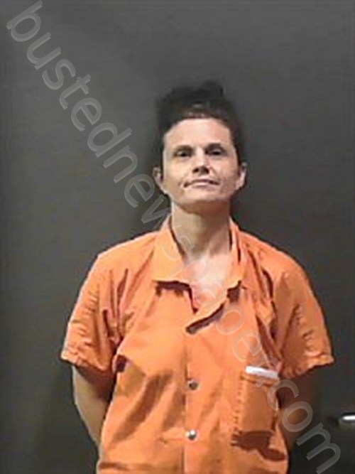NEAL, SHERRY LYNN #, Johnson County, Arkansas - 2023-08-23 18:59:00