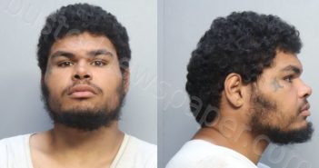 <B>RICARDO</B>, <B>STEPHEN</B> #, Miami-Dade County, Florida - 2023-08-24 01:37:00