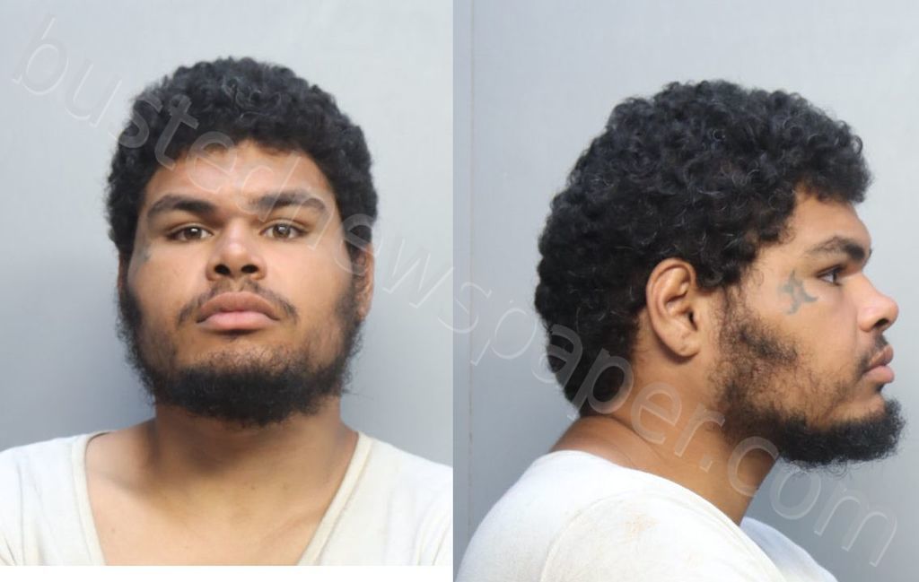 RICARDO, STEPHEN #, Miami-Dade County, Florida - 2023-08-24 01:37:00