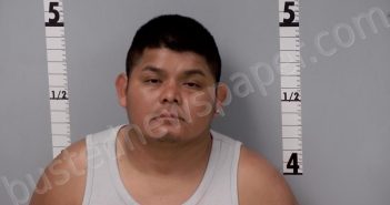 ALVAREZ GOMEZ, MARIO | 2023-08-24 20:32:00 Gratiot County, Michigan Booking