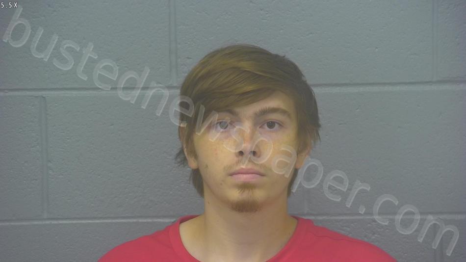 NEPTUNE, BLAKE EDWARD #, Greene County, Missouri - 2023-08-25 19:01:00