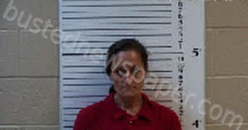 JENKINS, ERICA RAE | 2023-08-25 18:06:00 Cherokee County, North Carolina Booking