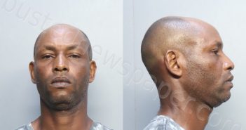 ORTIZ, LYUSVAN ANDREISY | 2023-08-28 00:55:00 Miami-Dade County, Florida Booking