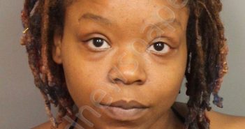 JOHNSON, DANIELLE ANNETTE GRAY | 2023-08-30 16:27:00 Jefferson County, Alabama Booking