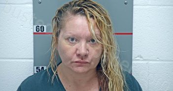 DULIN, <B>ERICA</B> L #, <b>Grayson</b> County, Kentucky, Grayson County, Kentucky - 2023-08-30