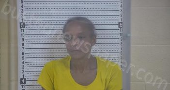 JOHNSON, LINDA | 2023-08-30 09:13:00 Taylor County, Kentucky Booking
