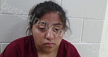 RAMIREZ VICTORIA ALEXI | 2023-08-31 Cameron County, Texas Booking